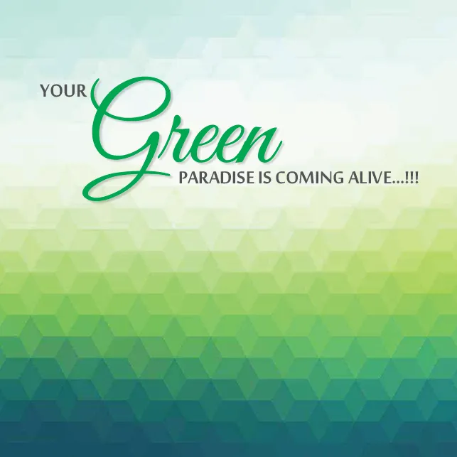 mpgreen1