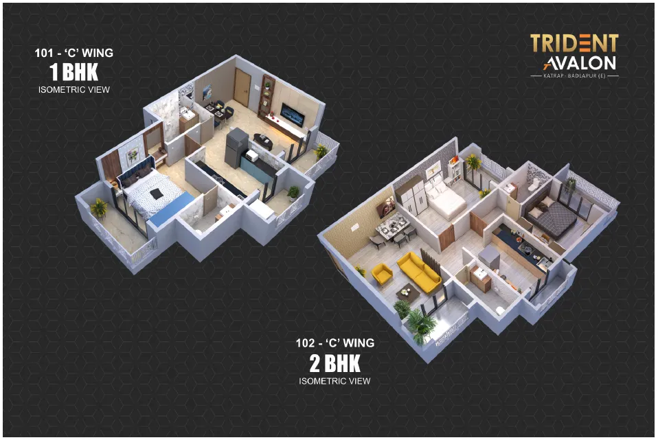 trident  Brochure page 11