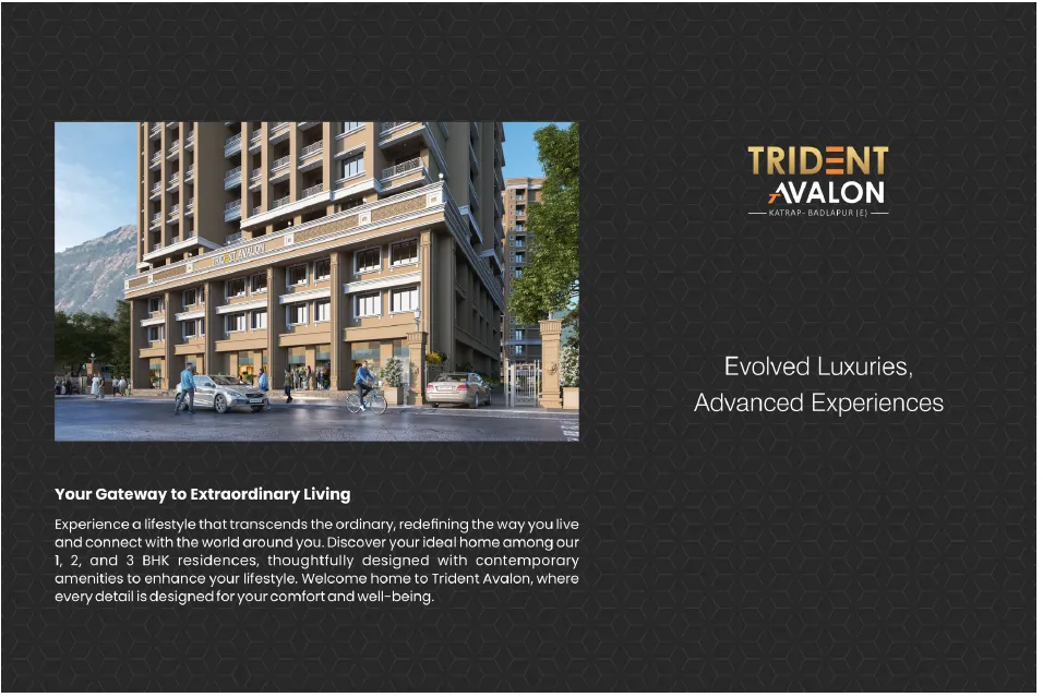 trident  Brochure page 3
